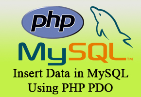 Insert Data in MySQL Using PHP PDO